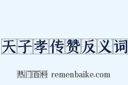 天子孝传赞反义词是什么意思的图片